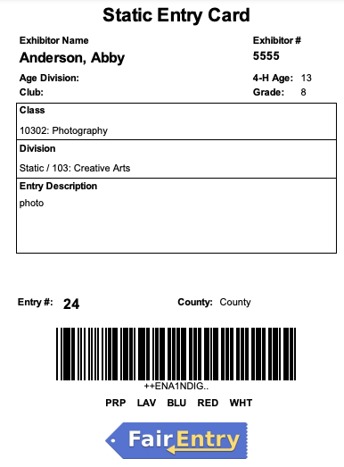 04Entries - 10Static Card.png
