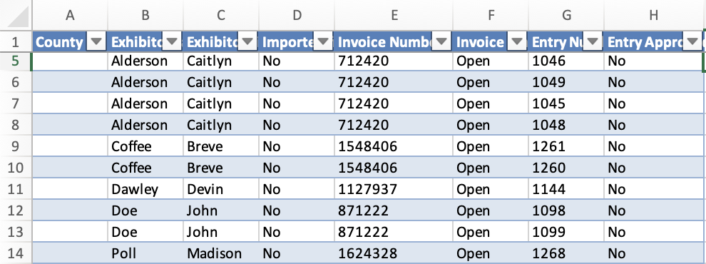06Invoices - 01Open Invoices.png
