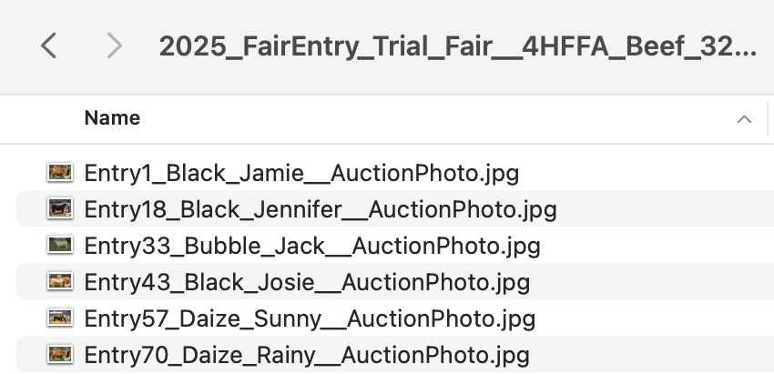 DownloadCustomFiles05.png